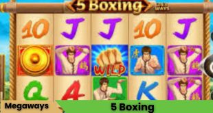 5 Boxing Oyna
