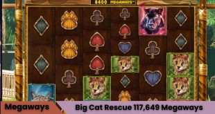 Big Cat Rescue (117649 Megaways) Oyna