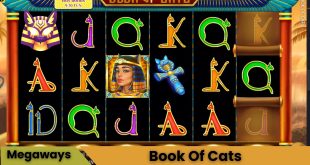 Book Of Cats Oyna