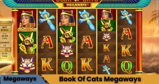 Book Of Cats Megaways Oyna