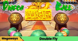 Double Fly Oyna