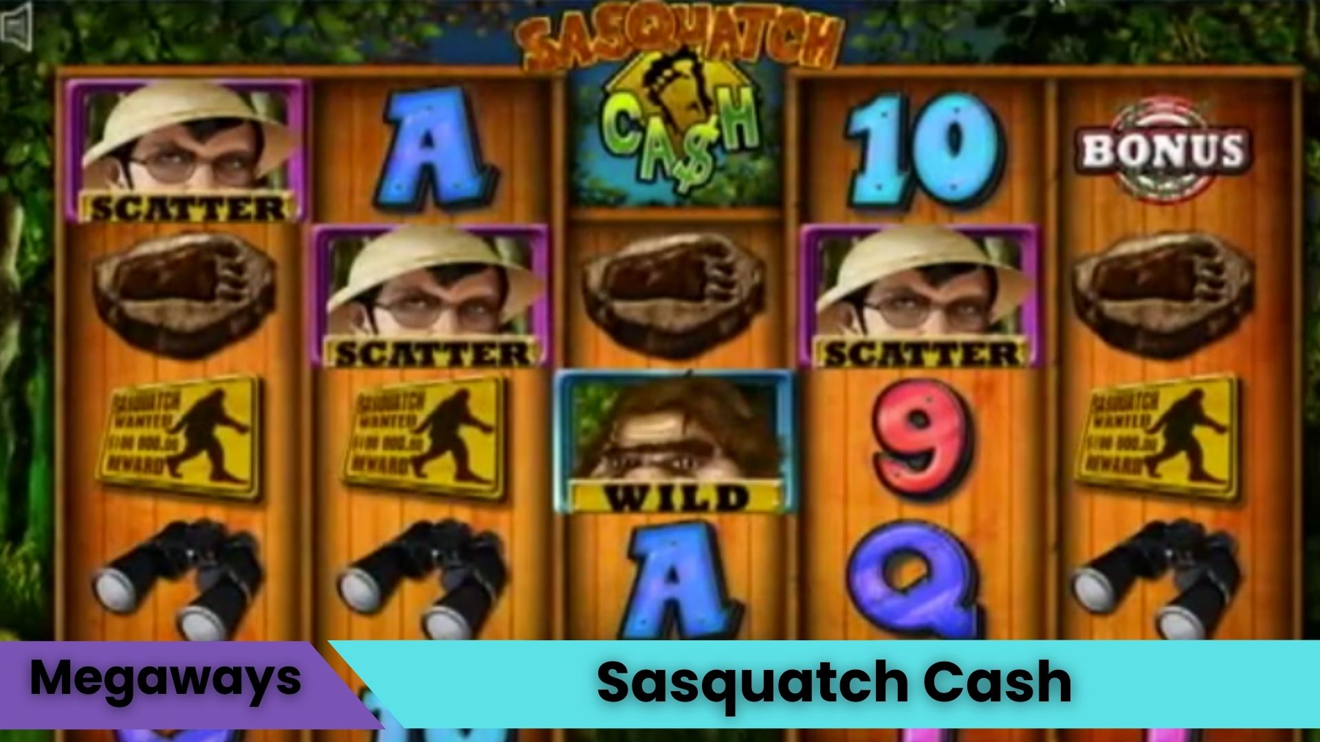 Sasquatch Cash Oyna