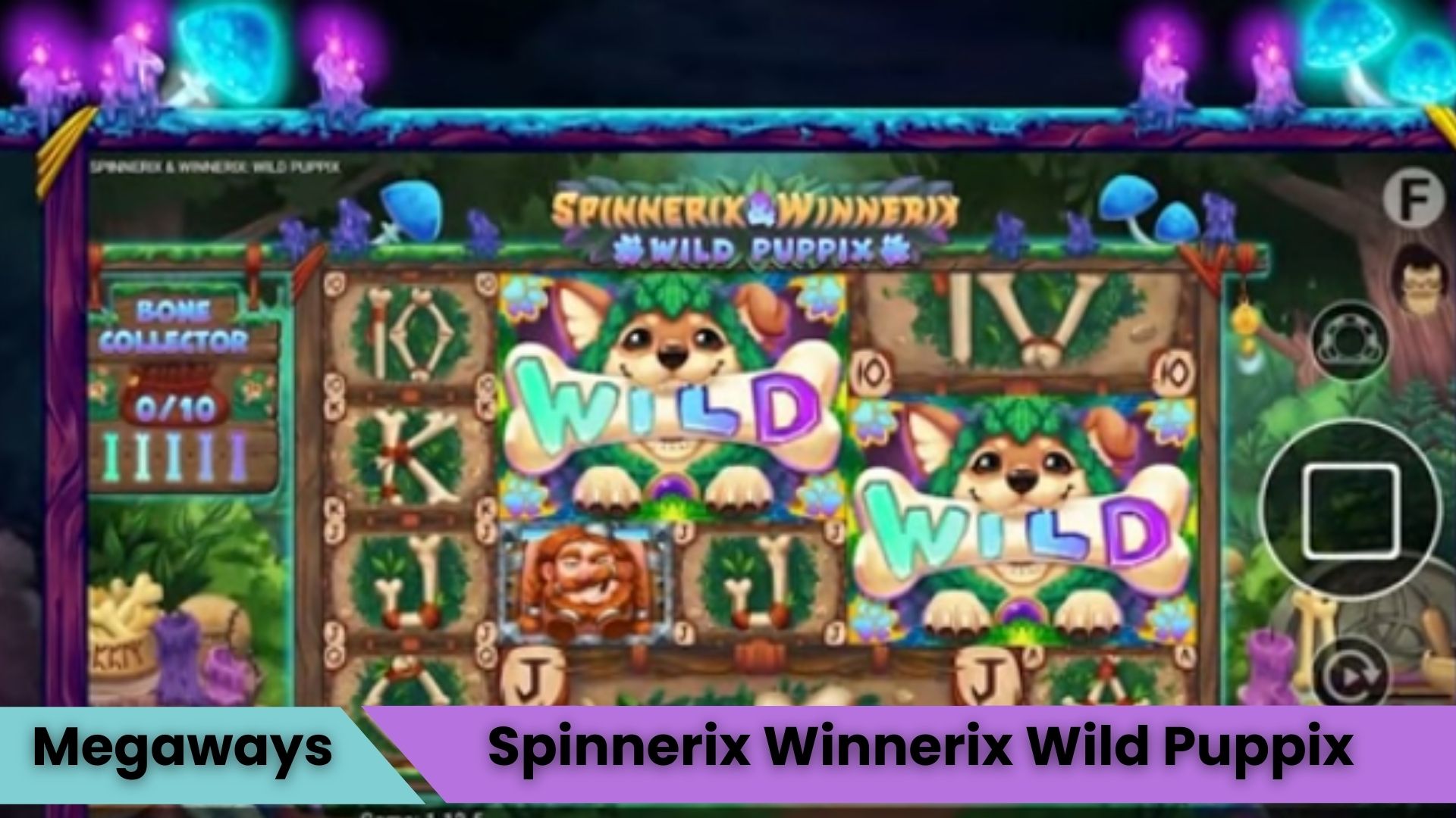 Spinnerix and Winnerix Wild Puppix Oyna