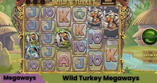 Wild Turkey (Megaways) Oyna